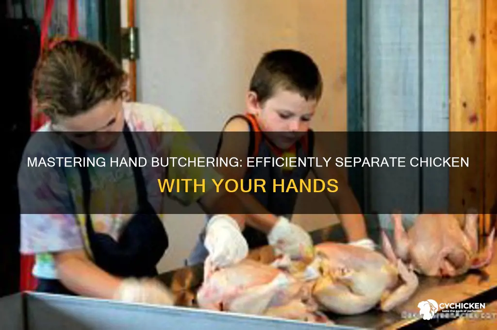 how to separate chicken with hands butcher