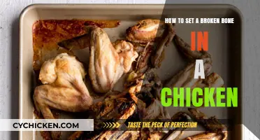 Setting Broken Bones in Chickens: A Step-by-Step Guide