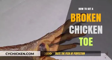 Healing Your Hen: A Guide to Setting a Broken Chicken Toe