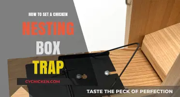 Effective Chicken Nesting Box Trap Setup: A Step-by-Step Guide