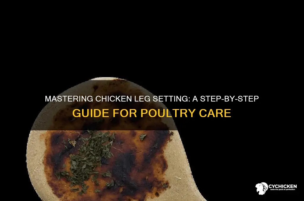 how to set a chicken
