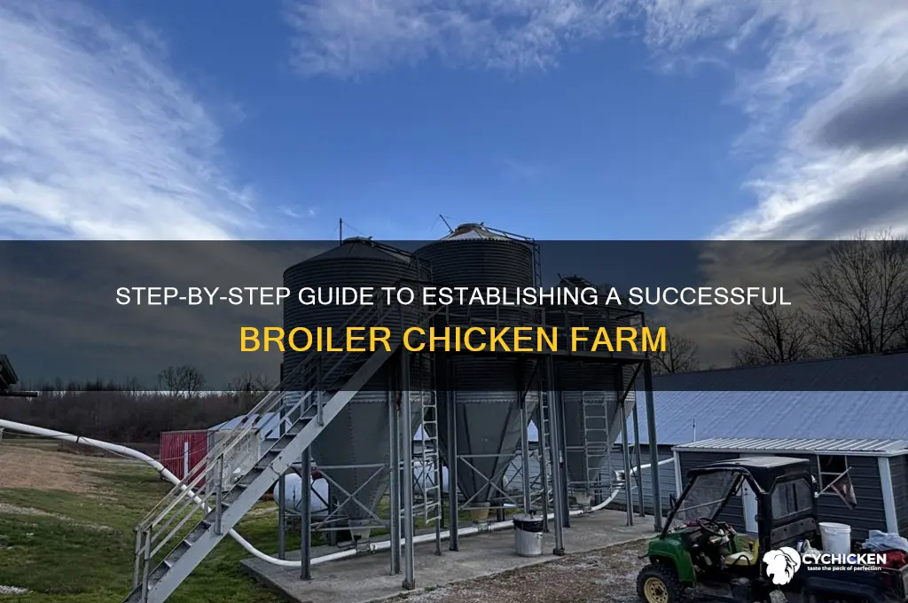 how to set up a broiler chicken farm
