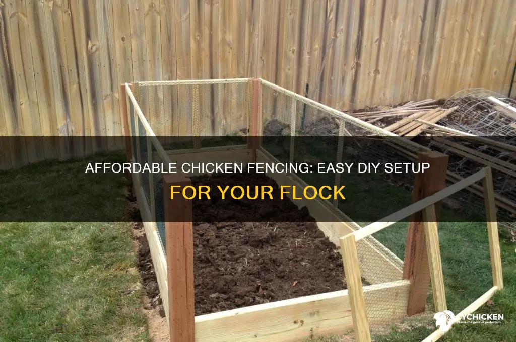 how to set up a cheap chicken fencing