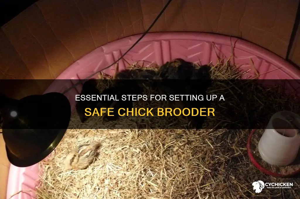 how to set up a chick brooder