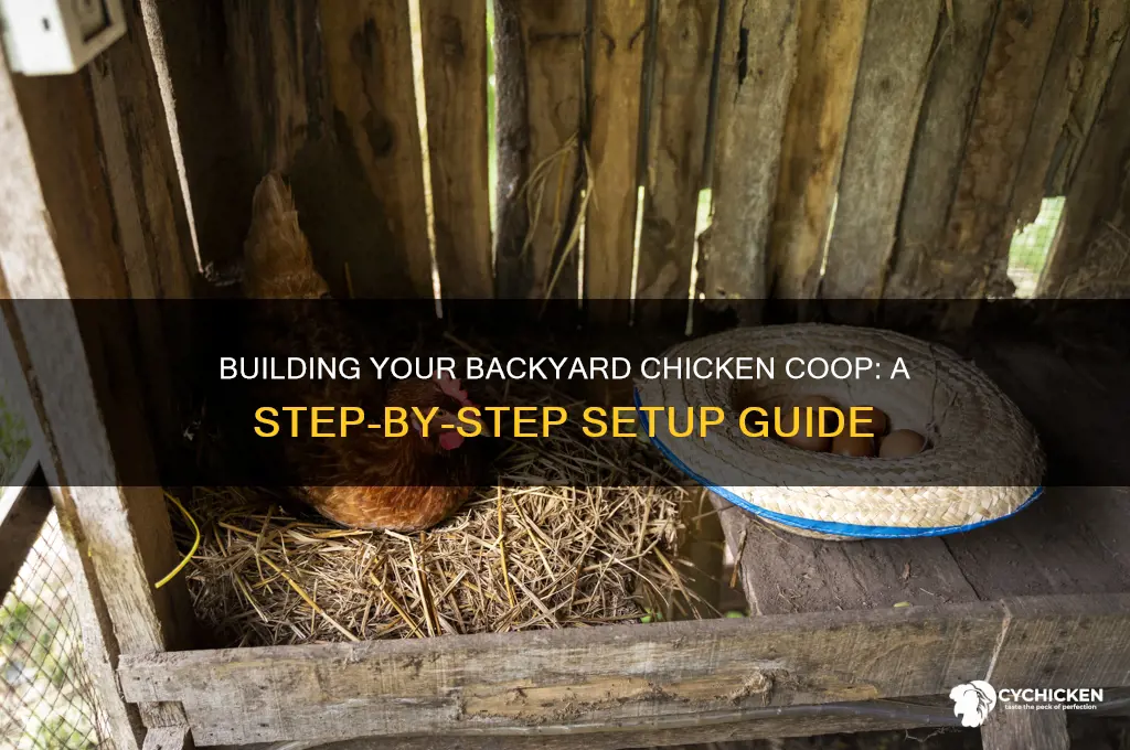 how to set up a chicken coup