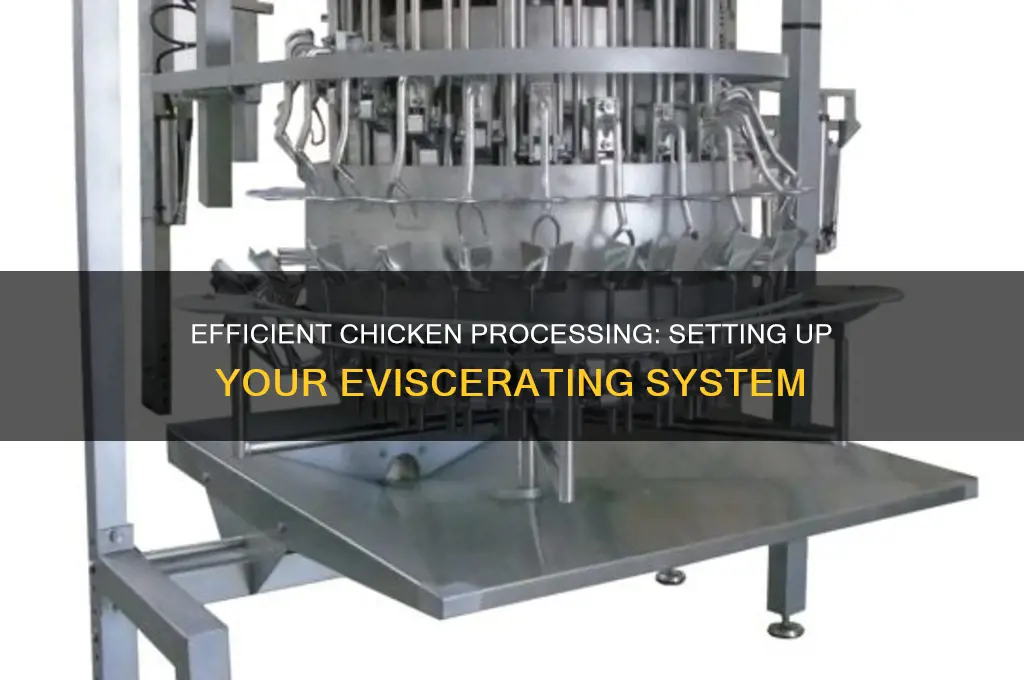 how to set up a chicken eviscerating system