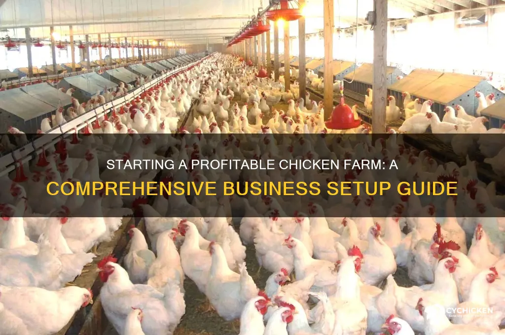 how to set up a chicken farm business