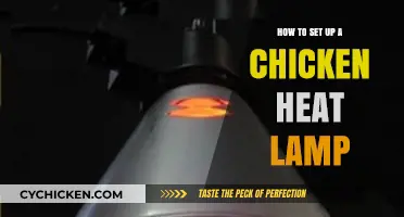 Easy Steps to Safely Set Up a Chicken Heat Lamp