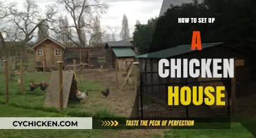 Building the Perfect Chicken House: A Step-by-Step Setup Guide
