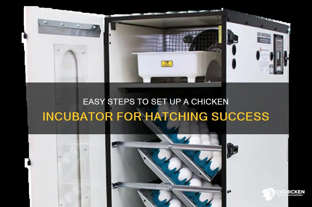how to set up a chicken incubator