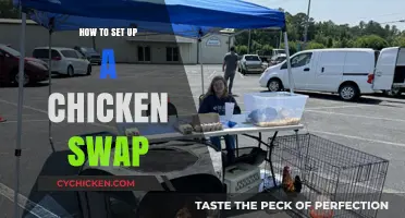 Easy Guide to Organizing a Successful Chicken Swap Event