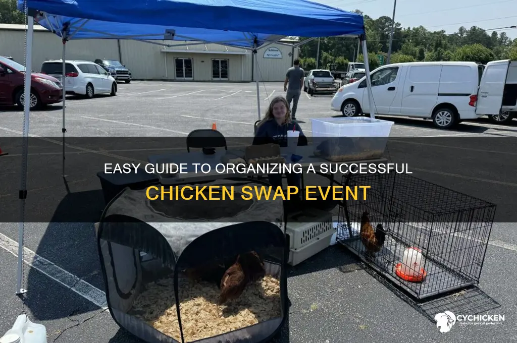 how to set up a chicken swap