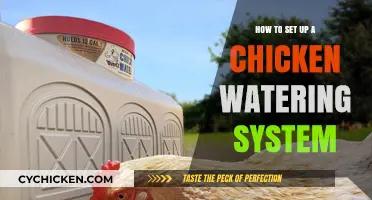 Efficient Chicken Watering System Setup: A Step-by-Step Guide