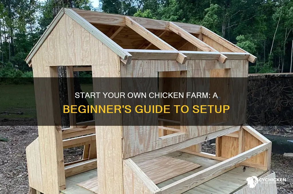 how to set up a small chicken farm