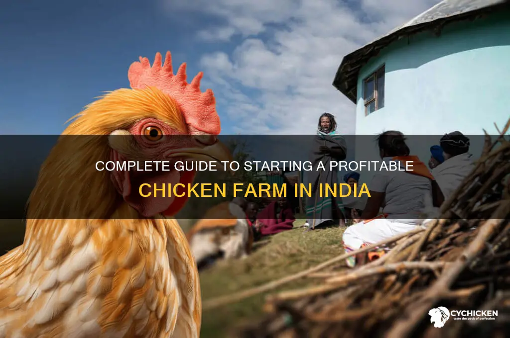 how to set up chicken farm in india