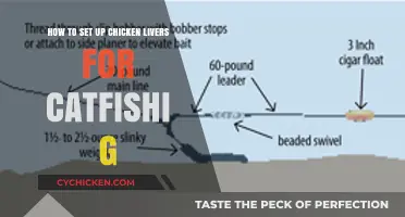 Setting Up Chicken Livers for Catfishing: A Beginner's Guide