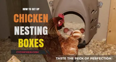 Creating Cozy Chicken Nesting Boxes: A Step-by-Step Setup Guide