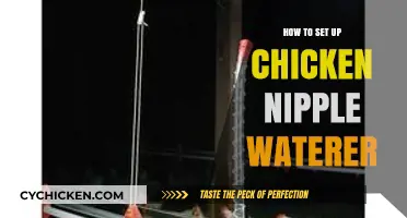 Easy DIY Chicken Nipple Waterer Setup Guide for Coops