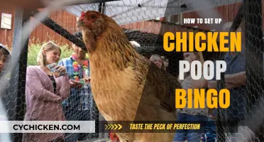 Fun & Easy Guide to Hosting Chicken Poop Bingo at Home