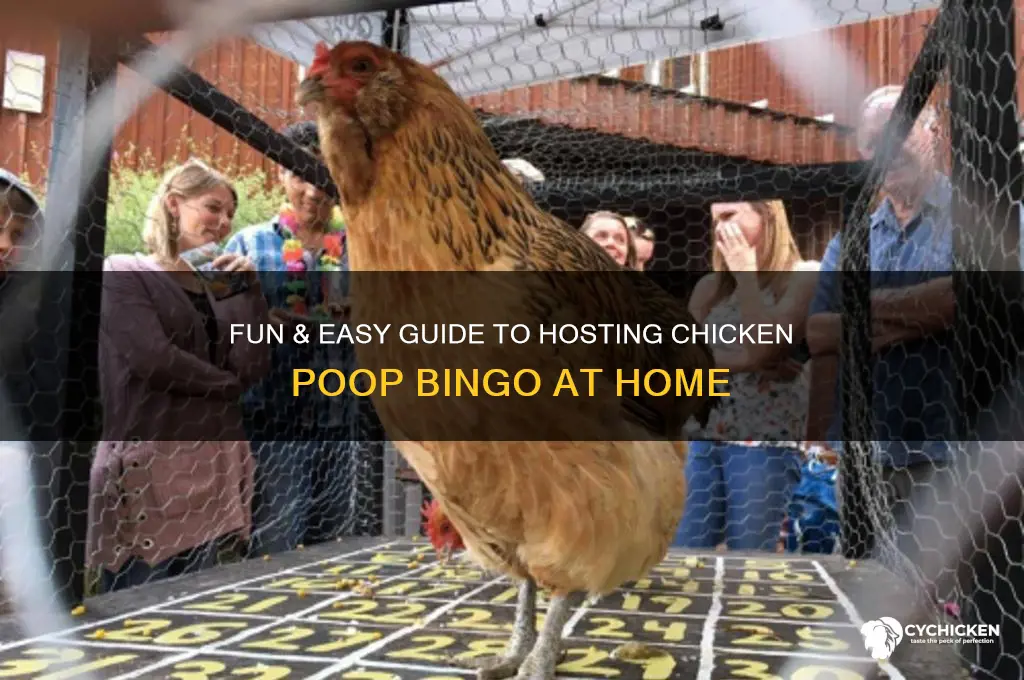how to set up chicken poop bingo