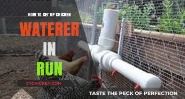 Easy Steps to Install a Chicken Waterer in Your Coop Run