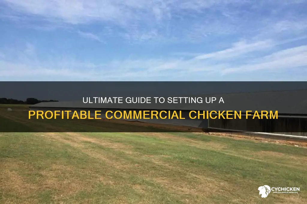 how to set up commercial chicken farm