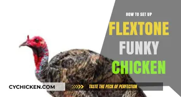 Mastering the Flextone Funky Chicken Setup for Ultimate Hunting Success