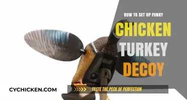 Mastering the Art of Setting Up Funky Chicken Turkey Decoys