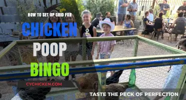 Setting Up the Ultimate Chicken Poop Bingo Grid