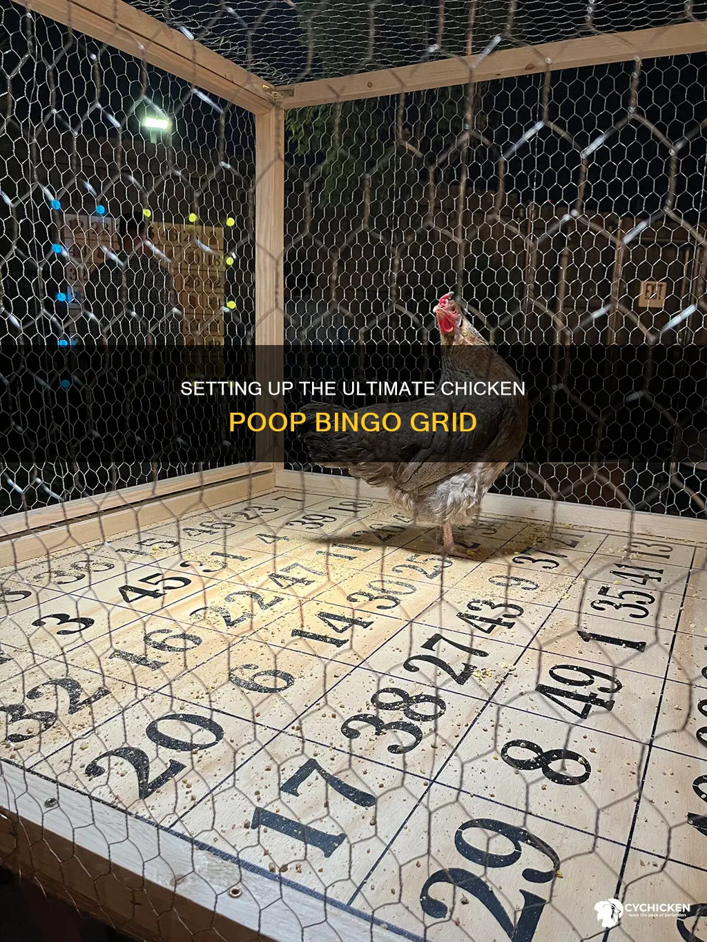 how to set up grid for chicken poop bingo