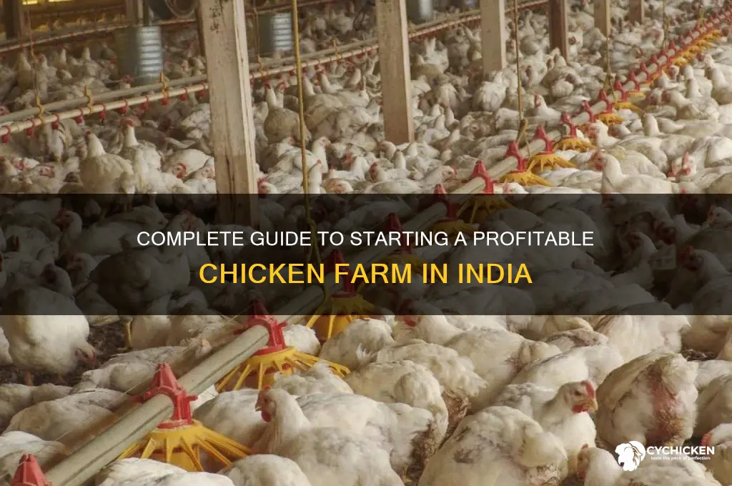 how to setup chicken farm in india