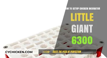 Easy Steps to Set Up Your Little Giant 6300 Chicken Incubator