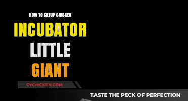 Step-by-Step Guide to Setting Up Your Little Giant Chicken Incubator