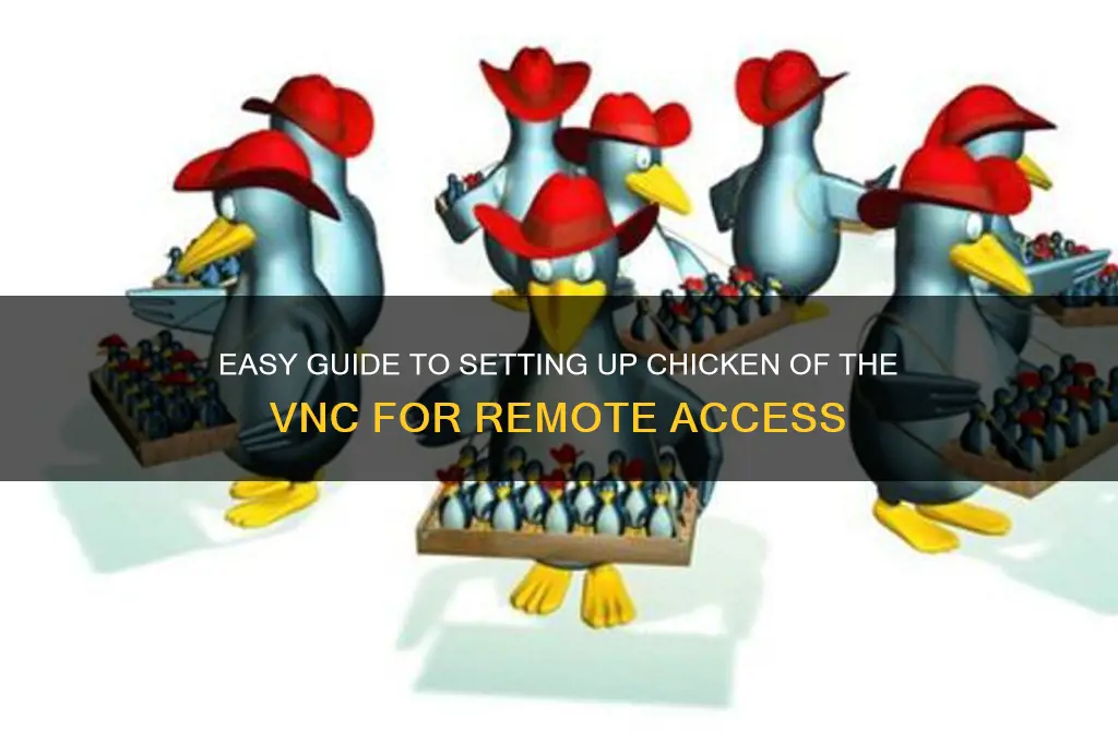 how to setup chicken of the vnc