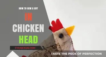 Sewing a Cut in a Chicken Head: A Step-by-Step Guide