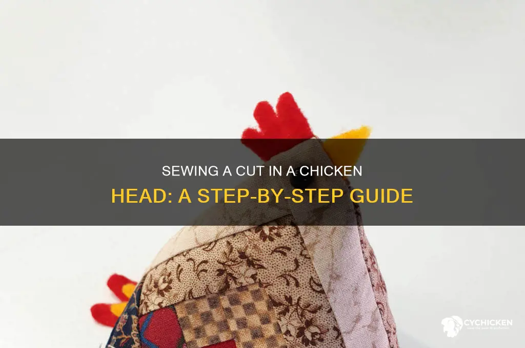 how to sew a cut in chicken head