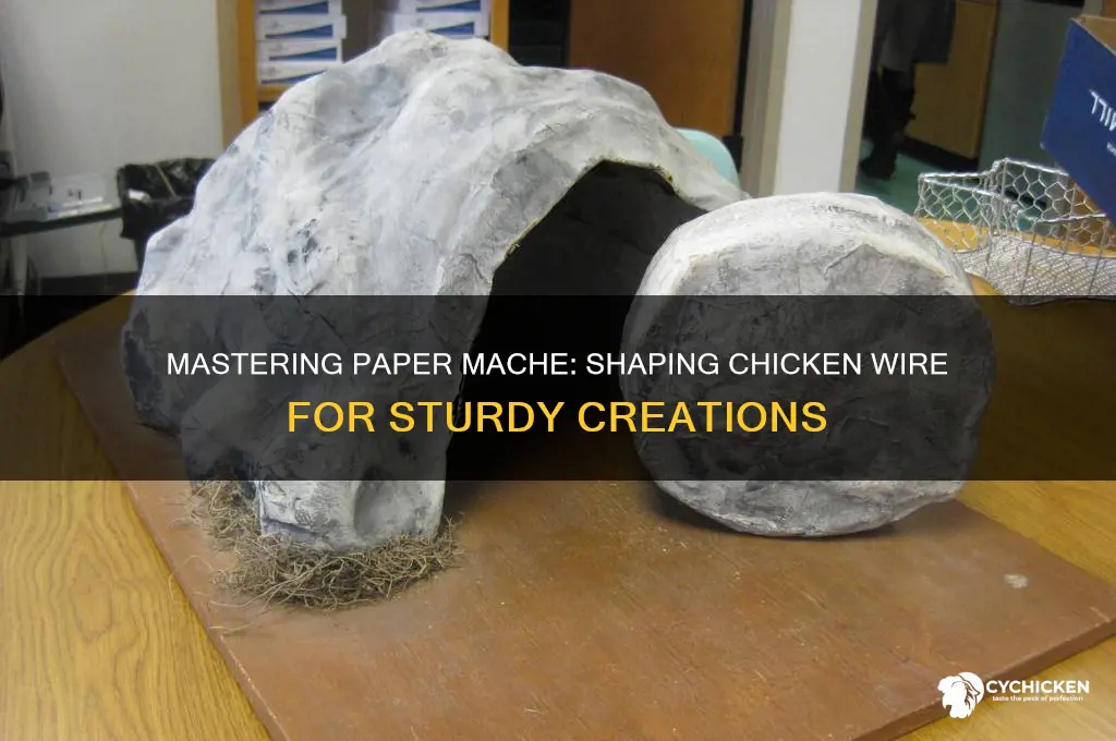 how to shape chicken wire for paper mache
