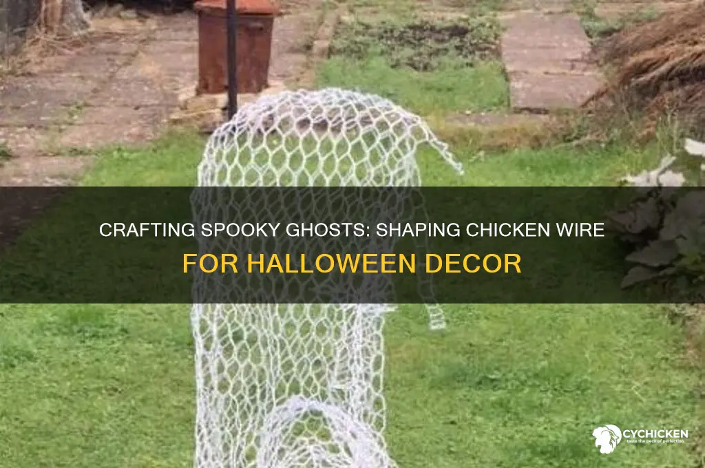 how to shape chicken wire into a ghost