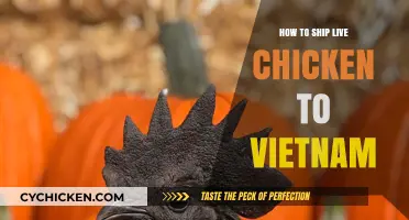 Shipping Live Chickens to Vietnam: Essential Tips and Guidelines