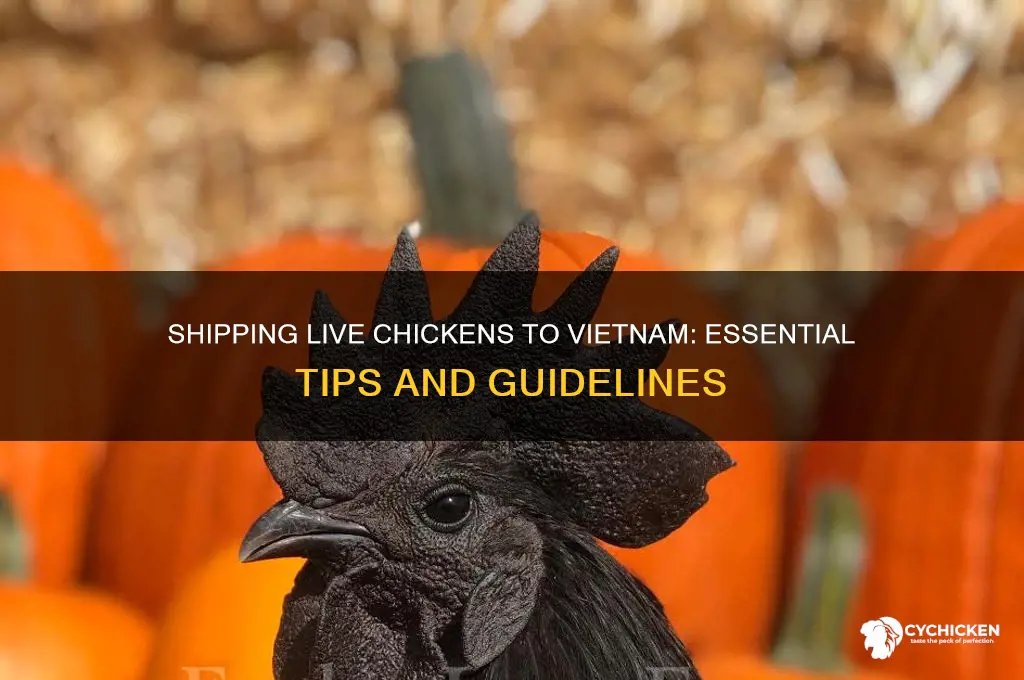 how to ship live chicken to vietnam