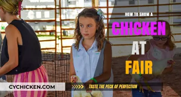 Mastering the Art of Exhibiting Chickens at County Fairs