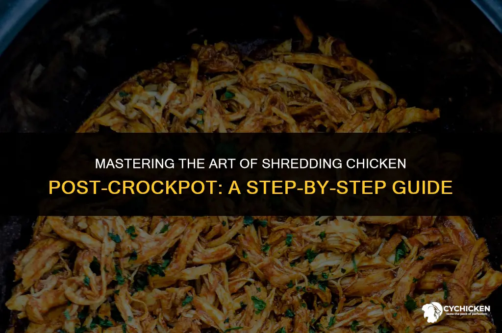 how to shred chicken after crock pot