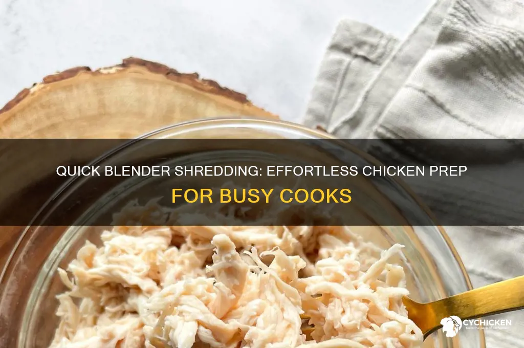 how to shred chicken in a blender