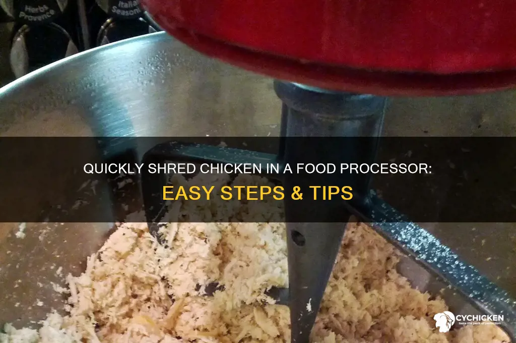 how to shred chicken in a food processor