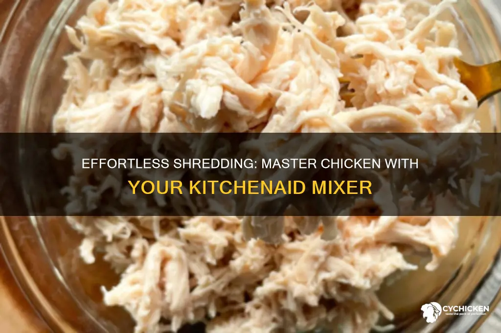 how to shred chicken in a kitchenaid