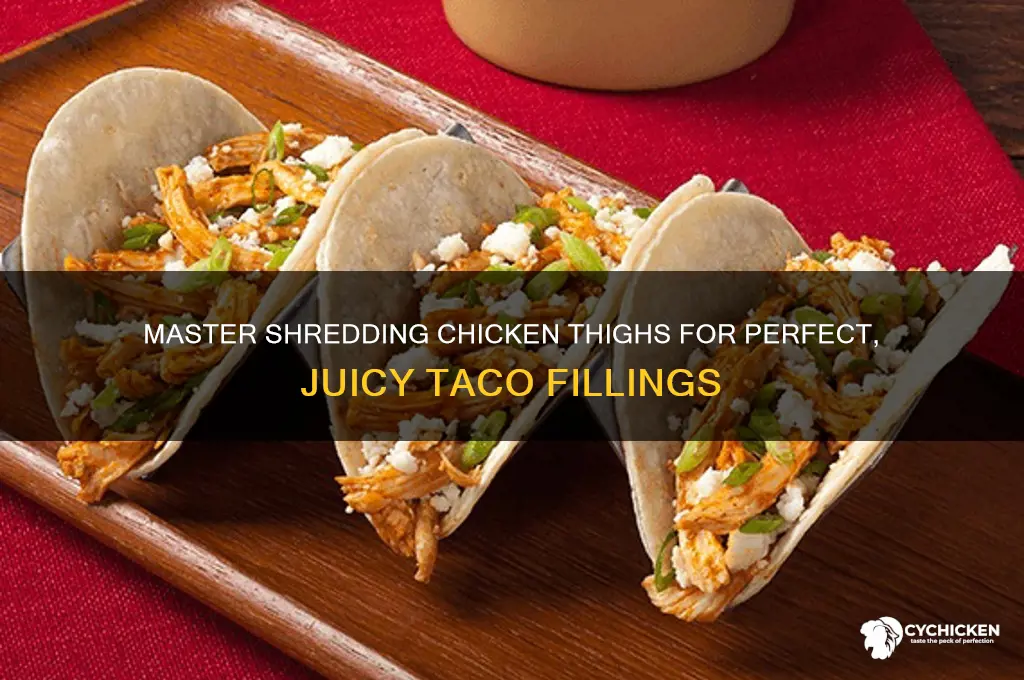 how to shred chicken thighs for tacos