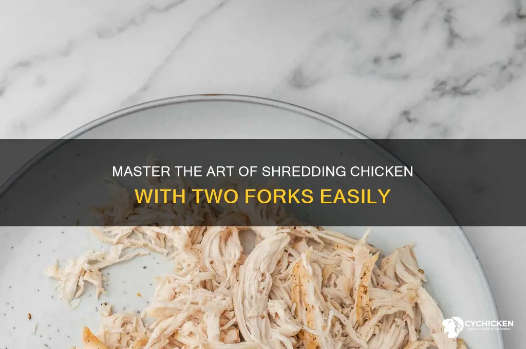 how to shred chicken with 2 forks