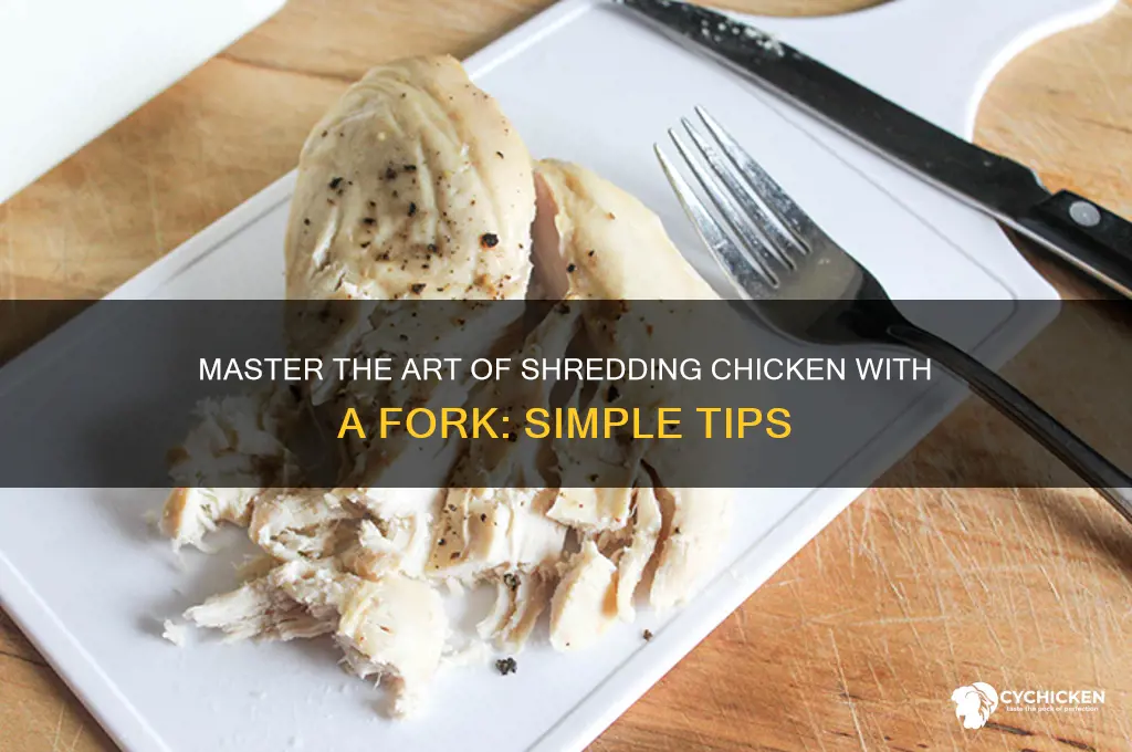 how to shred chicken with a fork