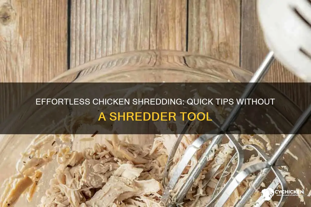 how to shred chicken without a chicken shredder