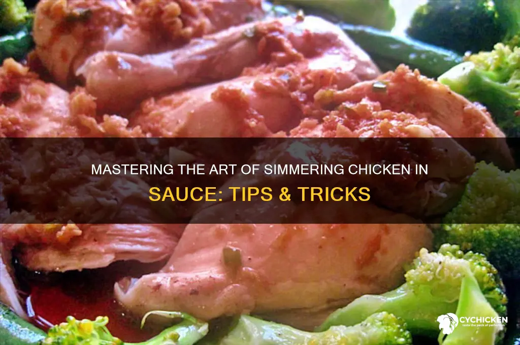 how to simmer chicken in sauce